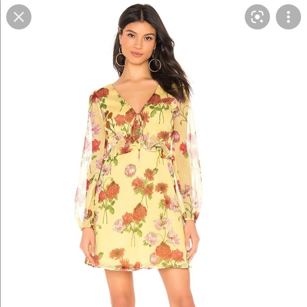 Revolve BB Dakota Botanical Bae Dress